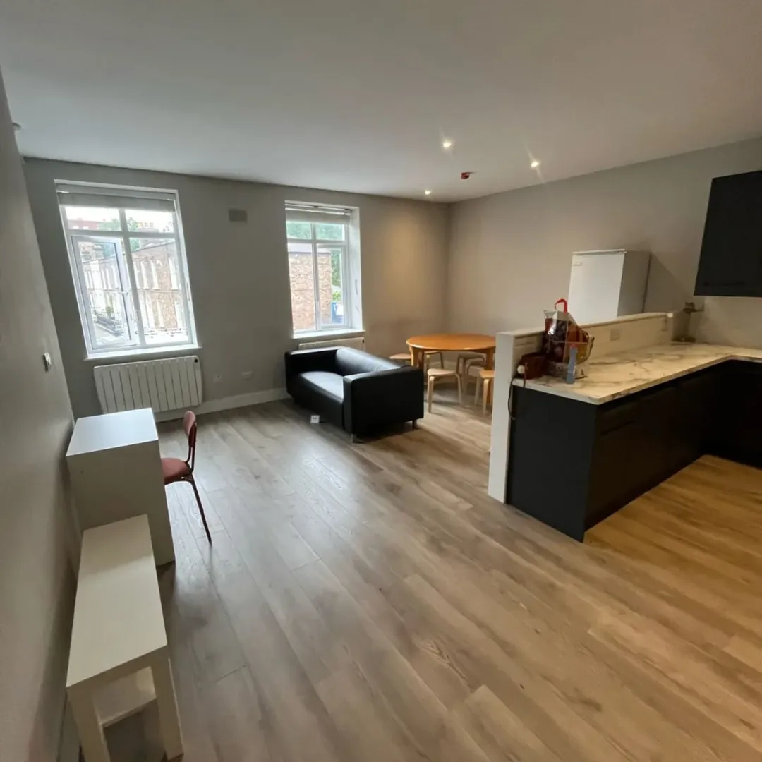 Apartment living room with black sofa, dining table, and kitchen area. Light wood flooring.