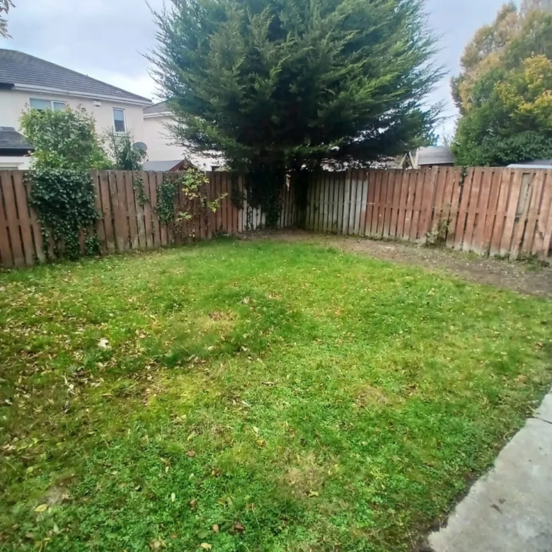 Backyard with green grass, wooden fence, and large evergreen tree.