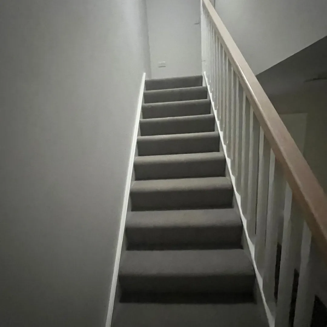 Carpeted stairs with white railing leading upwards in a home interior.