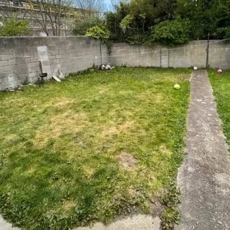 Fenced grassy backyard with patchy lawn, concrete walls, and a narrow path. Trees and building in background.