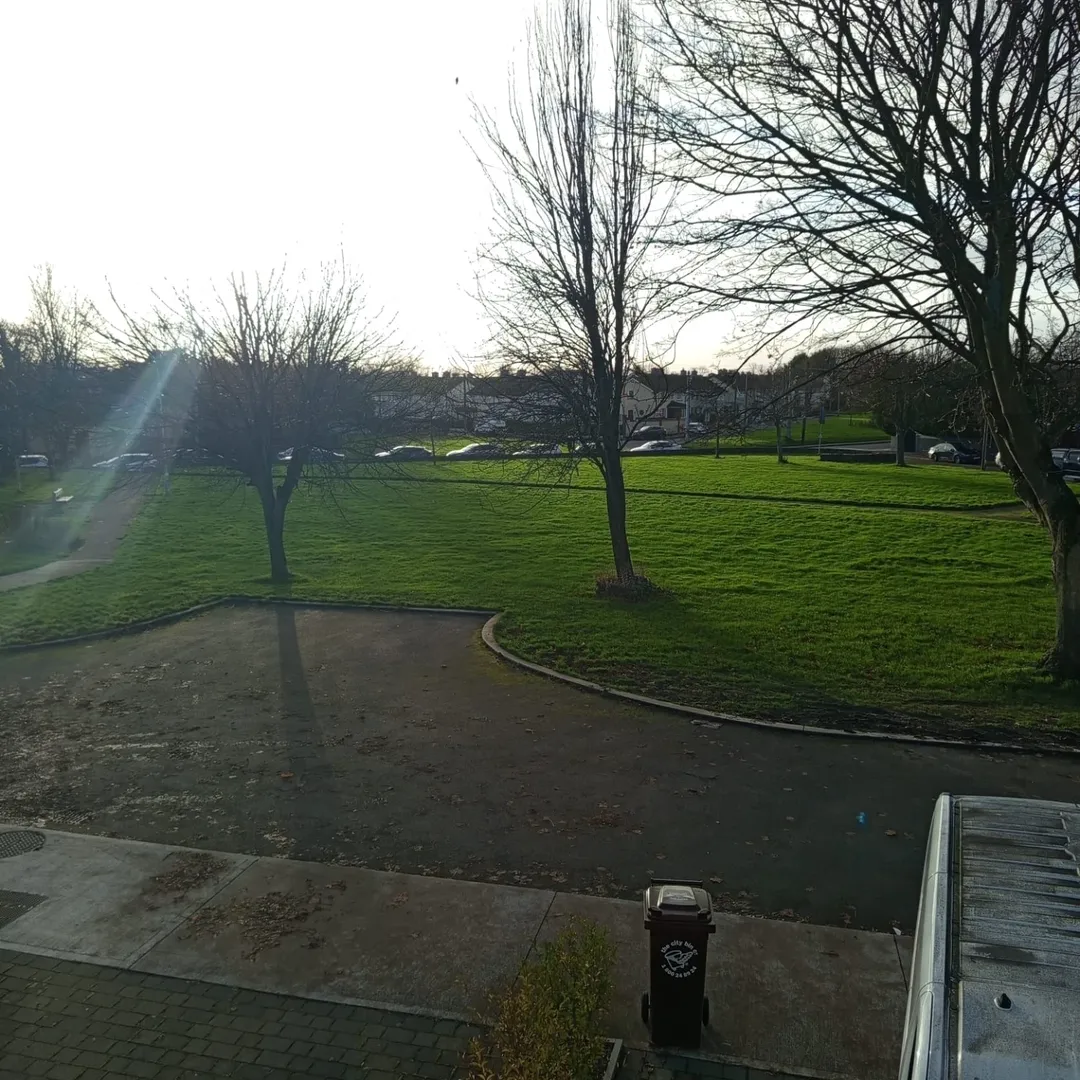 Green park with trees, pathway, and residential area on a sunny day. Trash bin visible in foreground.