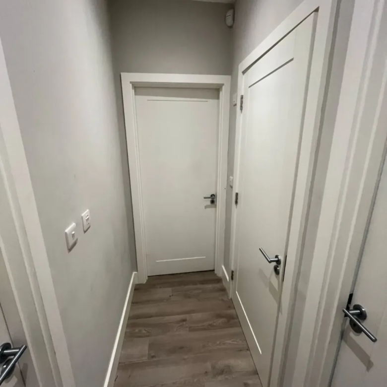 Hallway with white doors and light wood-look flooring.