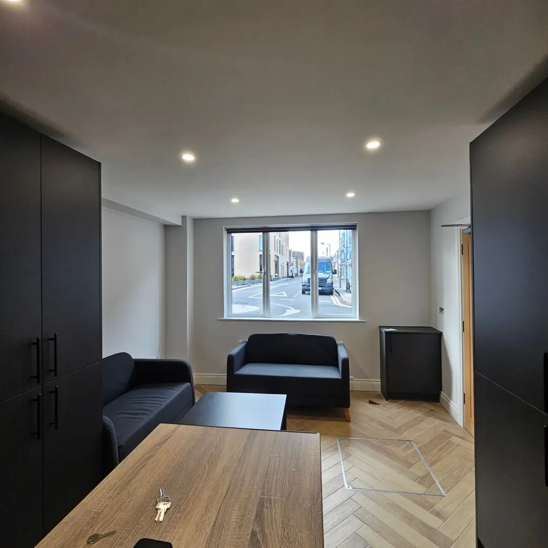 Modern Apartment Living Room Black Sofas Modern apartment living room with black sofas and wood-grain flooring.