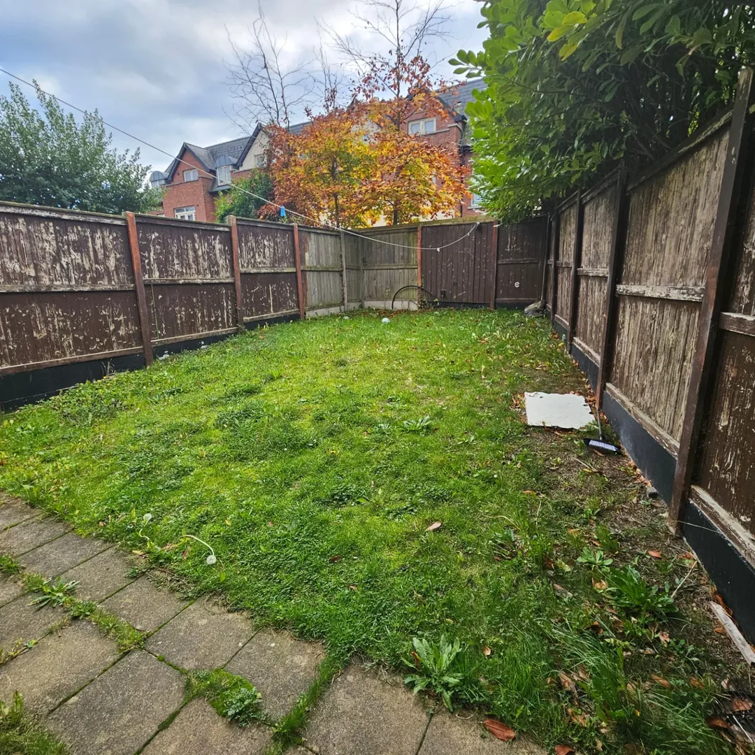 Overgrown backyard with weathered fence and autumn tree in background.