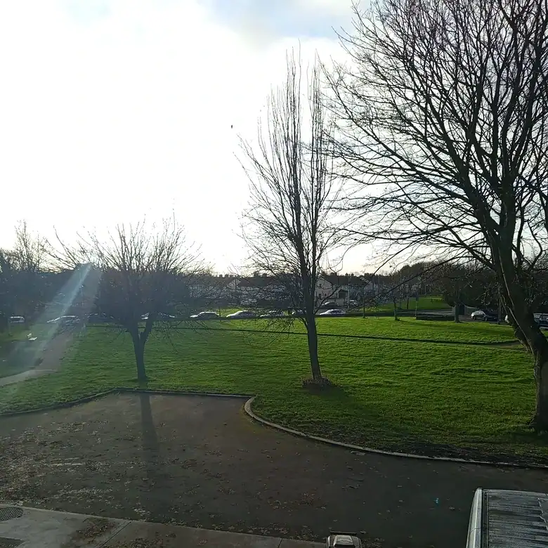 Park scene with green grass, bare trees, a bin, and a vehicle, under a bright sky.