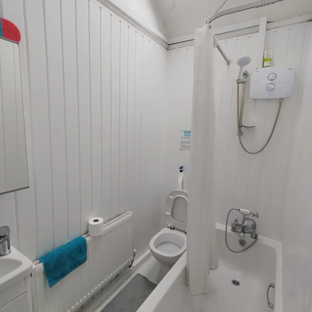 Small White Bathroom Shower Toilet Sink Small white bathroom with shower, toilet, sink, and radiator. Clean and functional.