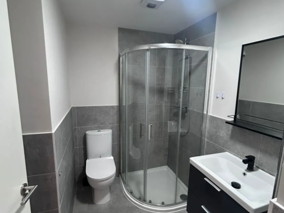 Modern bathroom with shower, toilet, and vanity sink. Gray and white color scheme.