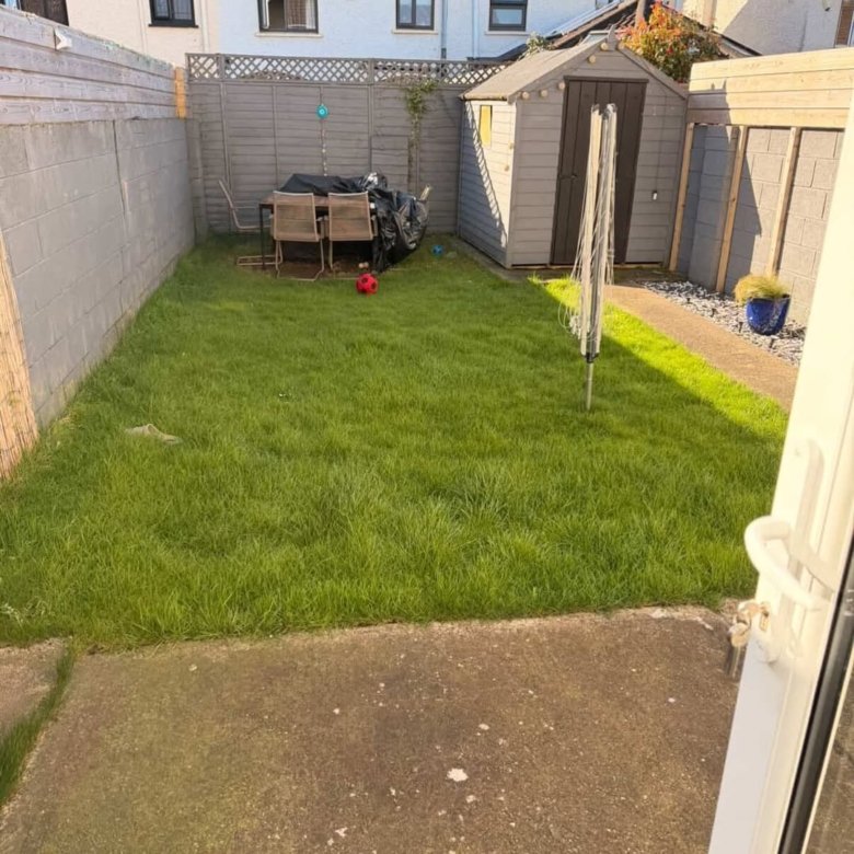 Small backyard garden with lawn, shed, and patio furniture.
